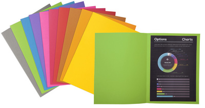 100 Sous Chemises 80g A4 couleurs assorties