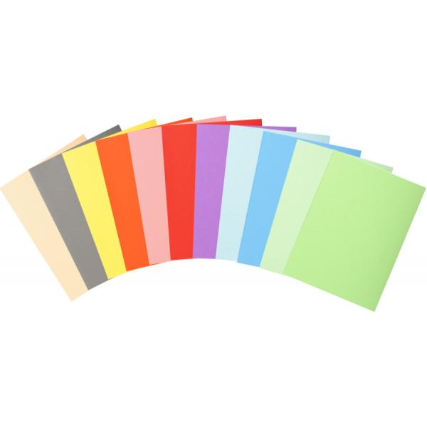 Exacompta 100 chemises couleurs A4 160g/m2
