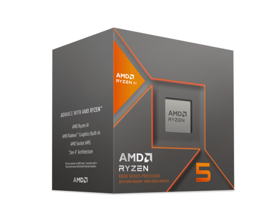 AMD RYZEN 7 8700G