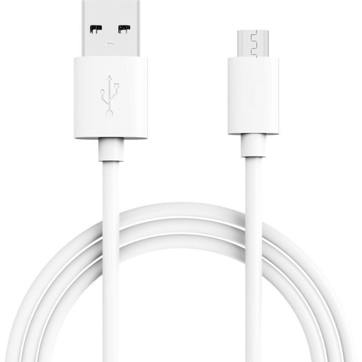 [cableip31] Cable usb vers USB type C 1m 